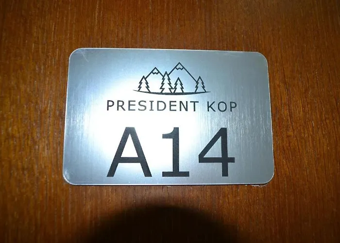 A 14 President Kopaonik Daire Raška